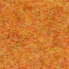 Pugi fenice 101 Swatch image for Pugi fenice 101